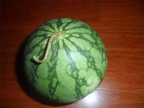 瓜挑贵的吃,揭秘为何挑选贵的瓜更美味